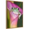 Australian green tree frog in flower by Adam Jones Danita Delimont 16-in. W x 23-in. H. Canvas Wall Art Print Framed in Natural